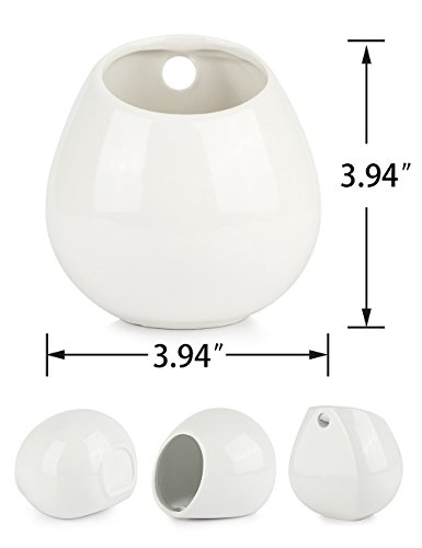 innoter wandhängende Sukkulente Übertopf für Outdoor Garten Terrasse Sukkulente, Übertopf Topf, Mini weiß rund Keramik Hydrokultur wandhängende Pflanztopf - 2