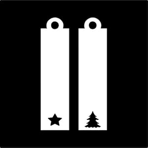 25 Geschenkanhänger Papieranhänger Tags Etiketten Frohe Weihnachten