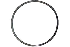 AstralPool JUNTA TORICA 255X4 marca