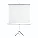Price comparison product image Tripod Projection Screen 125, white