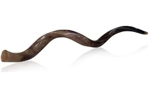 WANGHUI Medium Polished Kudu Horn Shofar with Natural Colors