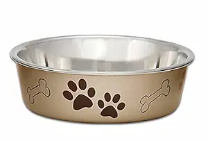 Loving Pets Metallic Bella Bowl Dog Bowl, Medium, 1 Quart, Champagne