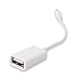 Produktbild Lightning 8 Pin Stecker auf USB-Buchse OTG Adapter Kabel für iPhone 6/5/5S/5 C iPad 4 mini Air