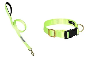 FORFURS Classic Snap Collar and Standard Leash for Dogs - Medium, Lime Green