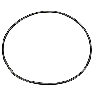 Pentair U9-228A O-Ring for Seal Plate Replacement for select Sta-Rite Pool and Spa Ingorund Pump