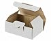 Produktbild 100 Stk. Maxibriefkarton und Warensendung Versandkarton SMALL, 120x80x45mm, weiß / Portooptimiert für DHL-Maxibrief und Warensendung