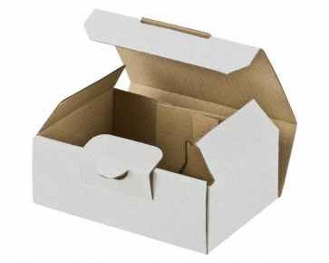 Preisvergleich Produktbild 100 Stk. Maxibriefkarton und Warensendung Versandkarton SMALL, 120x80x45mm, weiß / Portooptimiert für DHL-Maxibrief und Warensendung