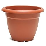 Dimensiones exteriores: 60 x 45 cm. Dimensiones interiores superiores: 50,5 x 43 cm. Peso: 1,66 kg.