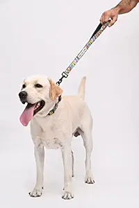 Tom and Jerry X Mutt of Course Woofy Poses Short Leash for Dogs