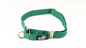 FurBuddies - Pine Martingale Collar for Dogs - Pack of 1, (Green, S)