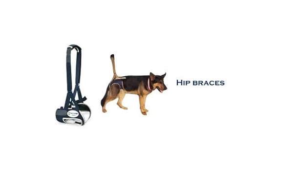 dog hip brace amazon