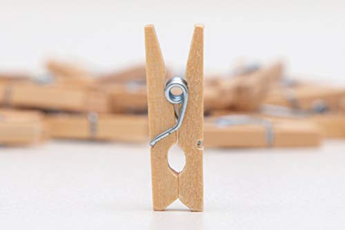 Mini Holz Wäscheklammern, 2,5 cm, Natur-Braun, 50 Stück | Dekoklammern | Fotoklammern | Dekorieren | Befestigung für Fotoleine + Fotowand