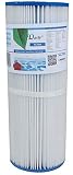 Longitud: 33,80 cm. Darlly SC704 - Filtro para jacuzzi (Unicel C-4326, Pleatco PRB251N, Darlly 42513)