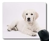 2.Größe: 18,3 x 15 cm. /22 x 18 cm oder 21,7 x 17,5 cm. /26 x 21 cm oder 25 x 20,8 cm. /30 x 25 cm;