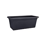 Cada maceta cuenta con su plato correspondiente.