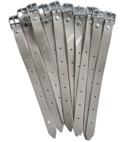 Jehapro Schnallriemen 10er-Pack – 40 X 2 Cm, Kunststoff Mit Gewebeeinlage, Grau-beige, Für Motorrad, Fahrrad, Auto & Mehr