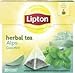 Produktbild LIPTON Herbal Tea Alps Cool Mint Pyramidbeutel
