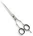 FRESH ARRIVAL Professional Hairdressing Scissors, Barber Salon Scissors + Cas (6.5