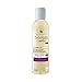 Price comparison product image Seboradin Niger Shampoo for Greasing Falling Out Hair 200ml