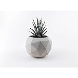 Geometrischer Blumentopf aus Bet