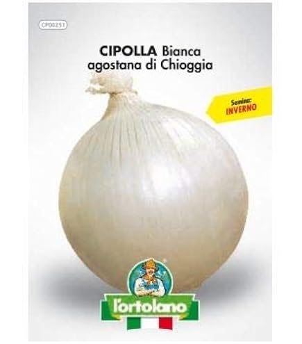 Semillas De Cicuta Maculata (Cicuta Acqua), Paquete De 200 Unidades, Fácil De Cultivar En Distintos Suelos