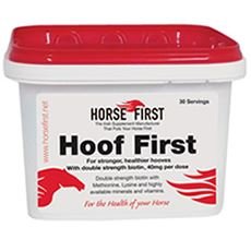 Horse-First-Hoof-First