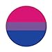 Produktbild Bi Pride Flagge bedruckt Kühlschrank Magnet 58 mm groß rund Button Neuheit Geschenk