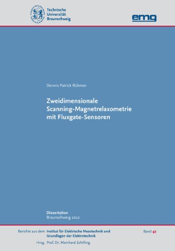 Zweidimensionale Scanning-Magnetrelaxometrie mit Fluxgate-Sensoren