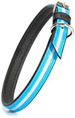 Julius-K9 IDC Lumino Phosphorescent Collar, Aquamarine, 25 mm x 50 cm