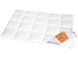 Maxi und Moritz - Kinderbettchen Daunendecke 8 x 5 Karos - 100 x 135 cm - 90% Daune / 10% Federchen - Deutsches Qualitätsprodukt - 975.98.012