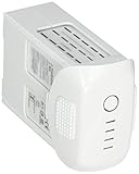 Ein fortschrittliches System zum Batteriemanagement verhindert darüber hinaus Überladung oder eine übermäßige Entleerung der Batterie