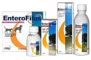 DRN Enterofilus Ml 100***