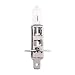Produktbild Broadroot H1 12V 100W Universal Halogen Lampe Halogenkopflampe für Leuchtmittel