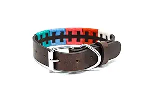 Gaucho Goods Leather Dog Collar - Zephyr (L)