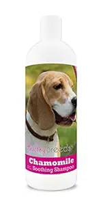 Healthy Breeds Chamomile Dog Shampoo & Conditioner with Oatmeal & Aloe for Beagle - Over 200 Breeds - 8 oz - Gentle for Dry Itchy Skin - Safe with Flea and Tick Topicals