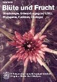 Image de Blüte und Frucht: Morphologie, Entwicklungsgeschichte, Phylogenie, Funktion, Ökologie