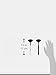 Nanshy Fan Makeup Brush Highlight Contour Bonzer Blush Powder Application (Onyx Black)