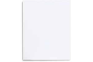 PLUS HOME Paneles Imprimados, 100% Algodón, Lienzos Preestirados para Pintura Acrílica, Con Bastidor de madera, para Artistas Profesionales o Principiantes.(40x50cm)