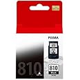 PG-810 Ink Cartridge (Black) Compatible with Canon Printer