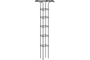 Dirfuny Obélisque en plastique et tube en acier - Résistant aux intempéries - Pour plantes grimpantes et roses