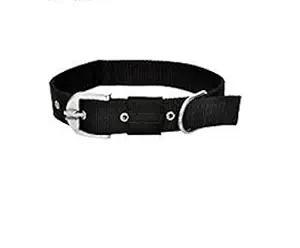 HANU Nylon Plain 0.75 Inch Dog Everyday Collar (Black) 015