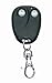 Bulldog 2-Button Remote Transmitter RS.3149.00