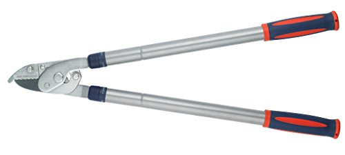 Neill Tools  T/A Spear Jackson 4902RSS Podadora de Yunque telescópica de Acero, Jaspeado