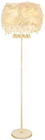 WYJD Floor Lamps ® Floor Lamp Living Room Lamp Room Foot Dimmer Remote Control Crystal Floor Lamp White Feathered Lamp