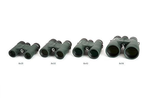 Comprar Celestron 71330-DS DX 8X32 - Prismáticos, color verde Descuento
