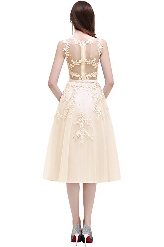 MisShow Robe Femme Longue pour Mariage Soirée Vintage Rétro avec Appliques à Fleurs Elégante en Dentelle en Mousseline et Tulle Beige 38