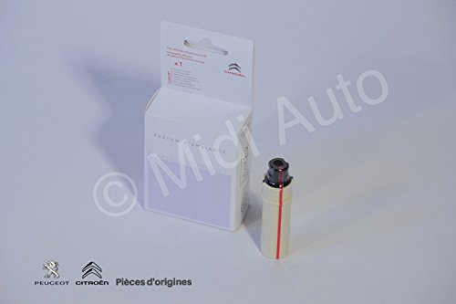 Preisvergleich Produktbild Citroen – Umgebungsparfüm-Refill, integriert oder mobil, Pazifik-Duft