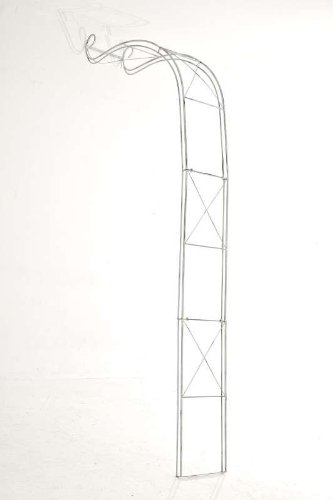 CLP Halbbogen, Rosenbogen EDOARDO halbrund, Eisen, Wand-Rankhilfe Durchganghöhe/-breite: 330 cm / 116 cm antik weiß - 3