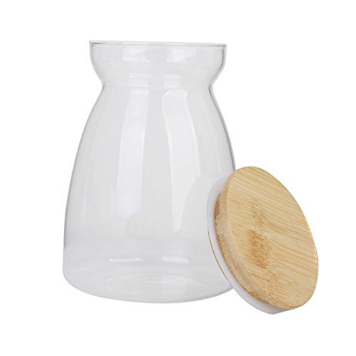 H förmigen Speicher mit Deckel Flasche Klarglas Vase für Pflanze Blume Dekor - 5
