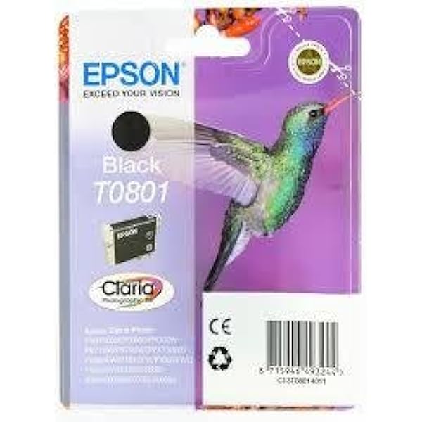 epson t0801 black